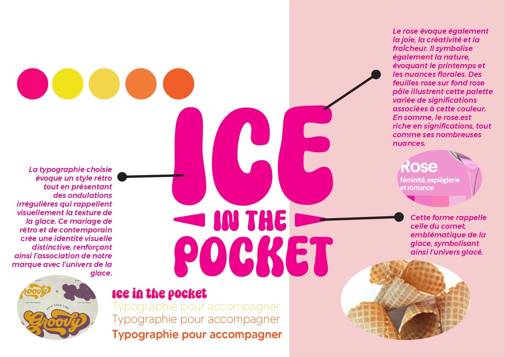 Charte graphique Ice in the pocket